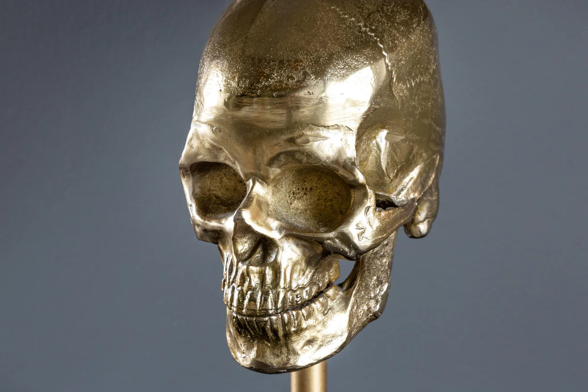 IMAGE for product variant SKU 41529