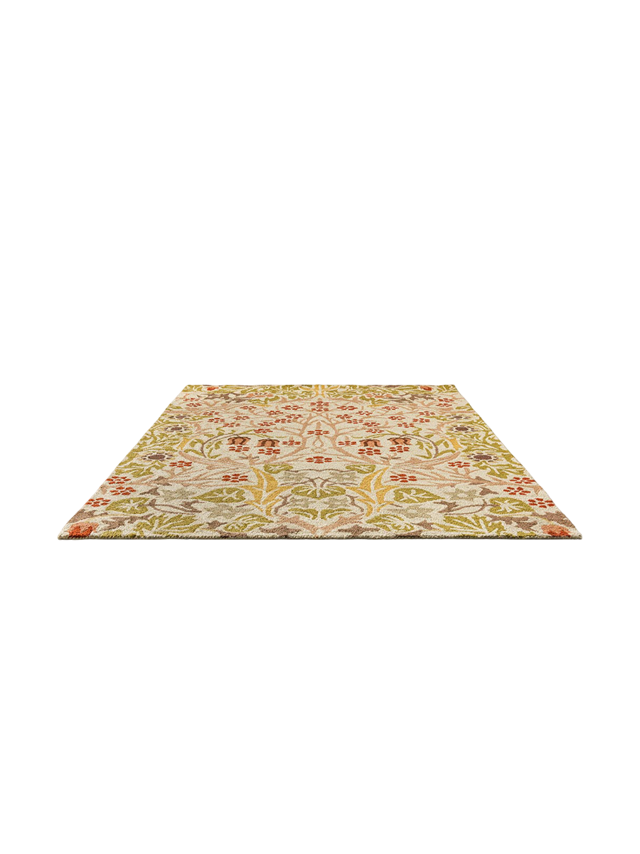 
Tapis design d'intérieur/extérieur de qualité supérieure « Blackthorn Wheat », différentes tailles - 160 x 230 cm