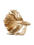 IMAGE for product variant SKU 43172