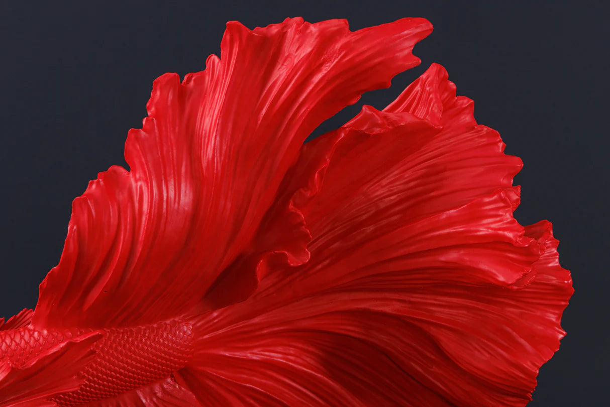 IMAGE for product variant SKU 43173