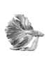 IMAGE for product variant SKU 43175