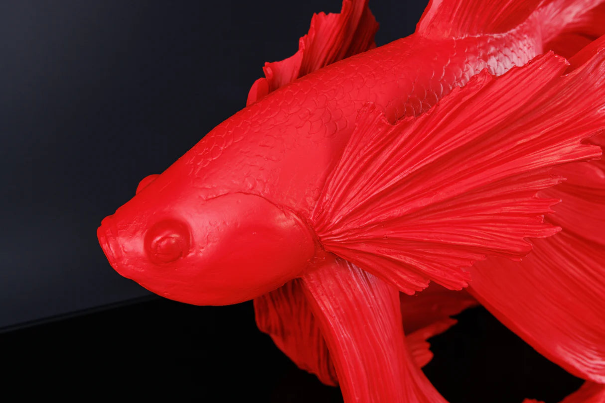 IMAGE for product variant SKU 43177
