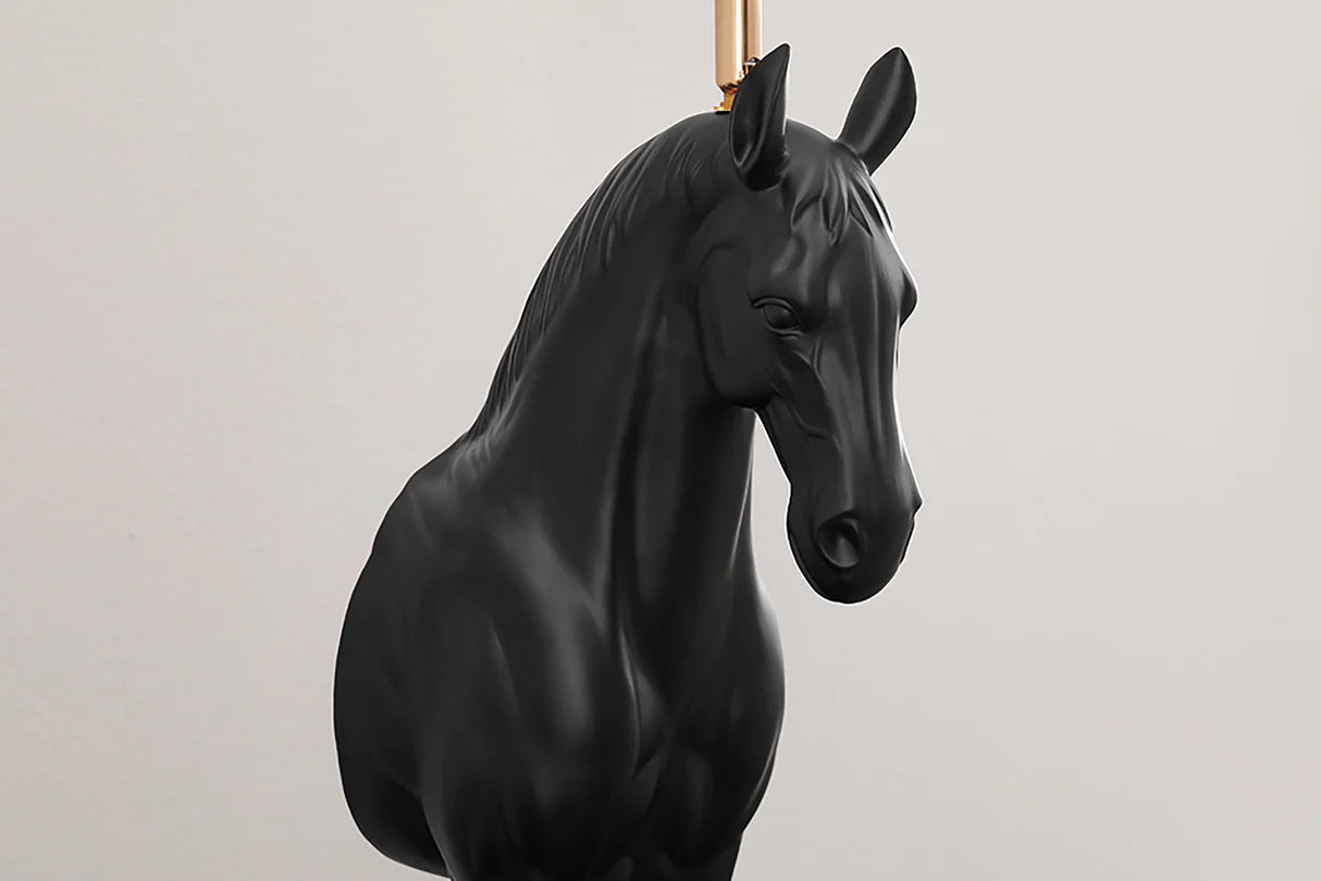 IMAGE for product variant SKU 45665