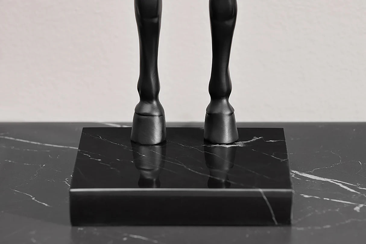 IMAGE for product variant SKU 45665