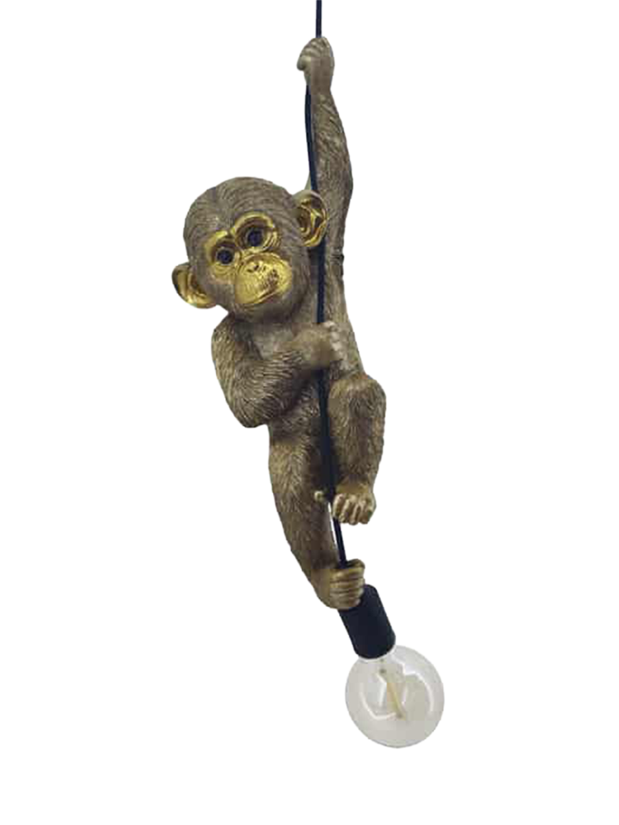 
"Monkey" Pendant Lamp Design