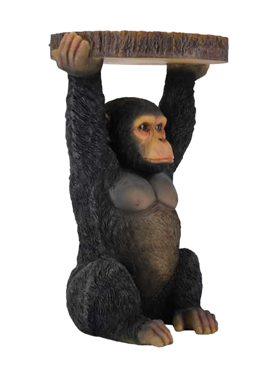 IMAGE for product variant SKU 48009