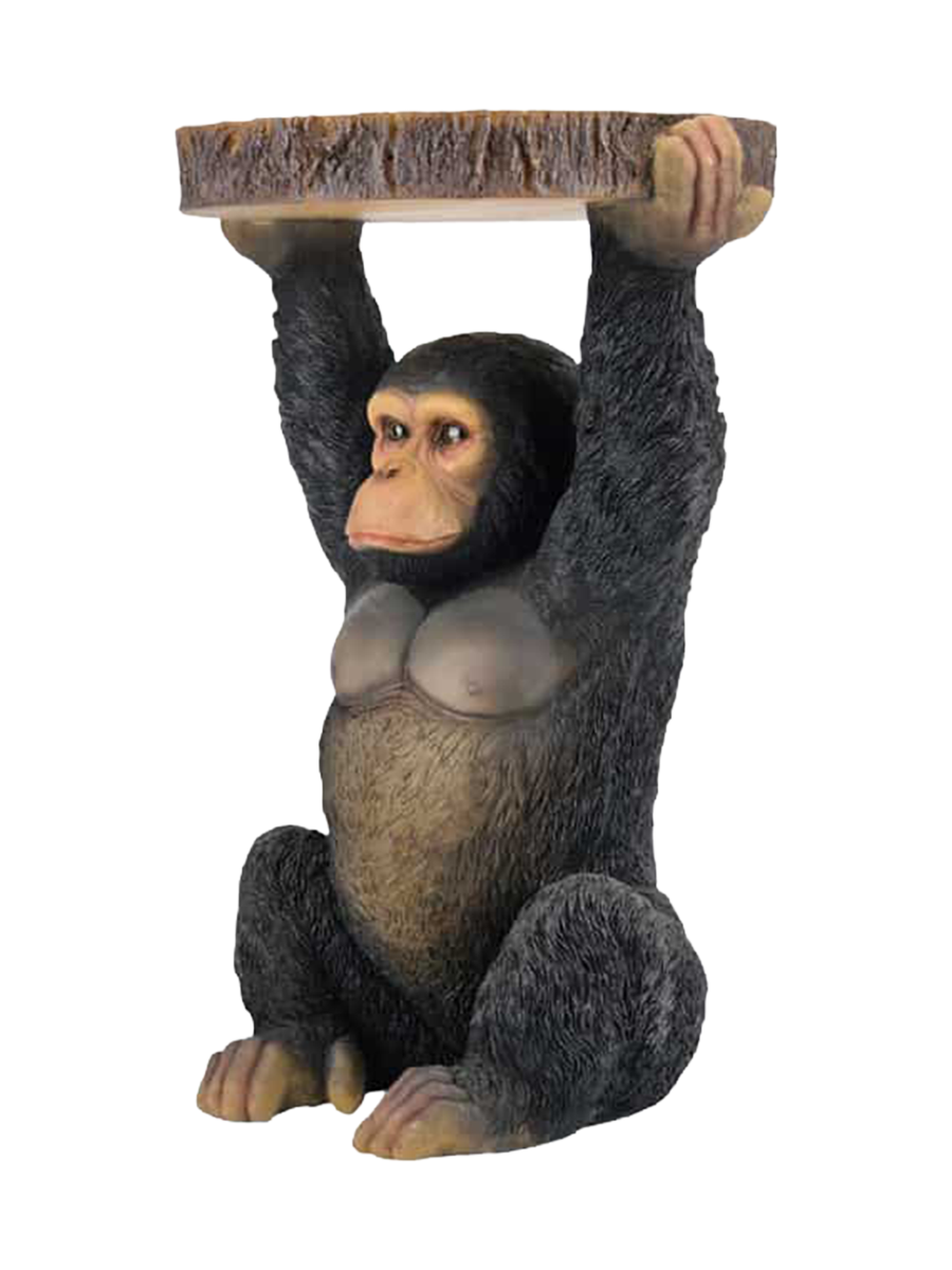 IMAGE for product variant SKU 48009