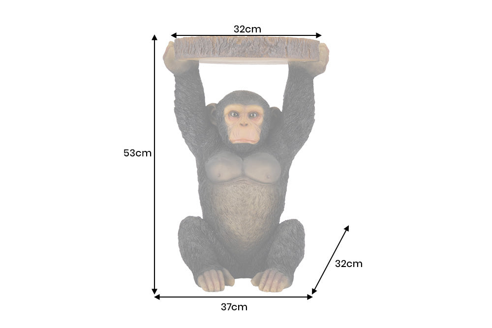 IMAGE for product variant SKU 48009