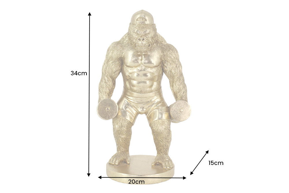 IMAGE for product variant SKU 48050
