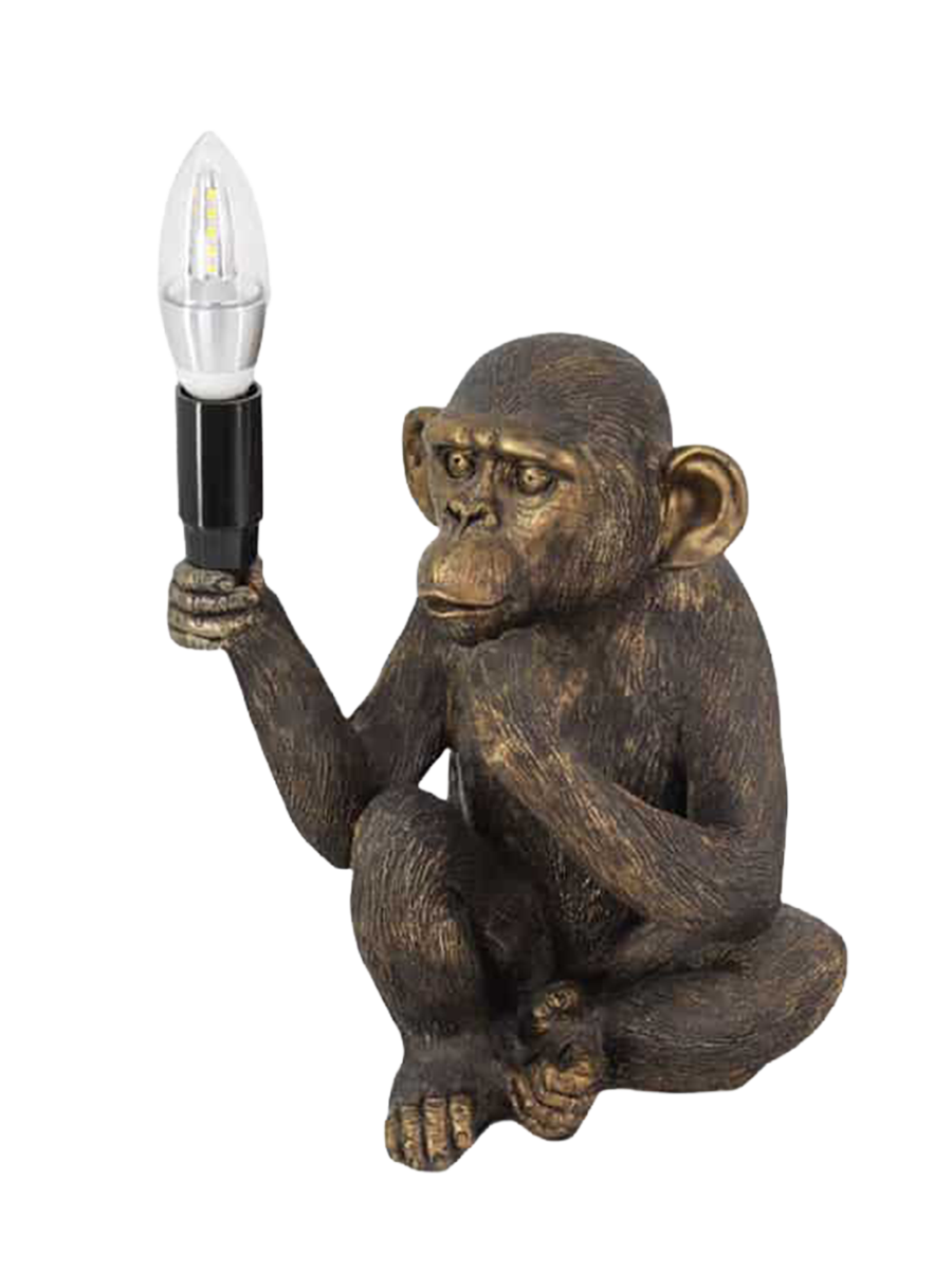 IMAGE for product variant SKU 48052