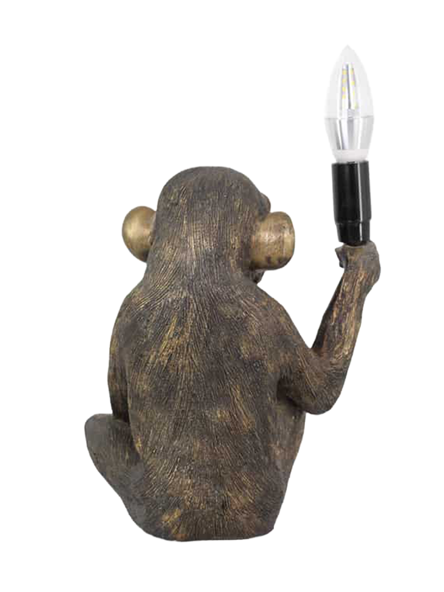 IMAGE for product variant SKU 48052
