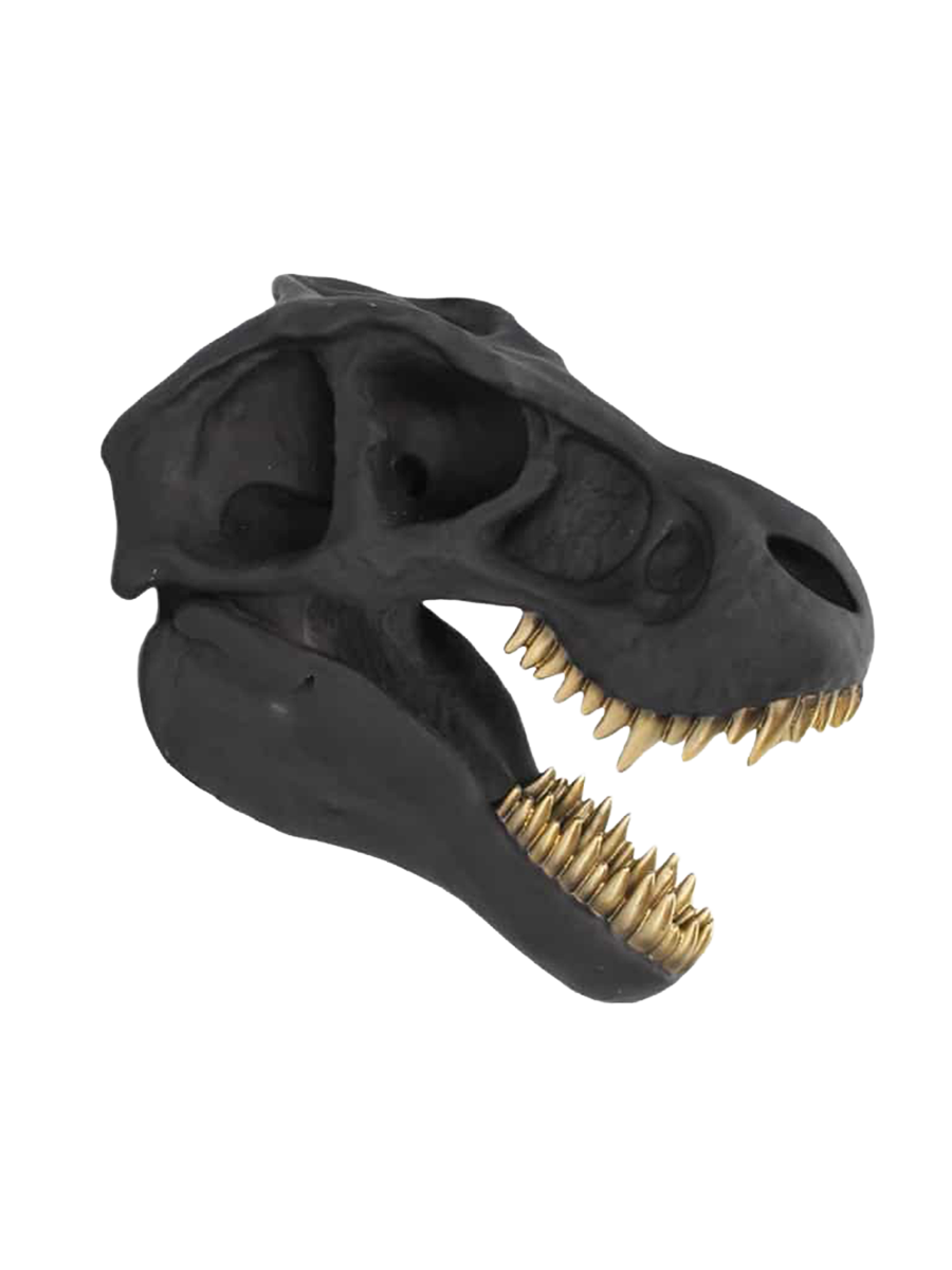
"T-Rex" Decorative Wall Object