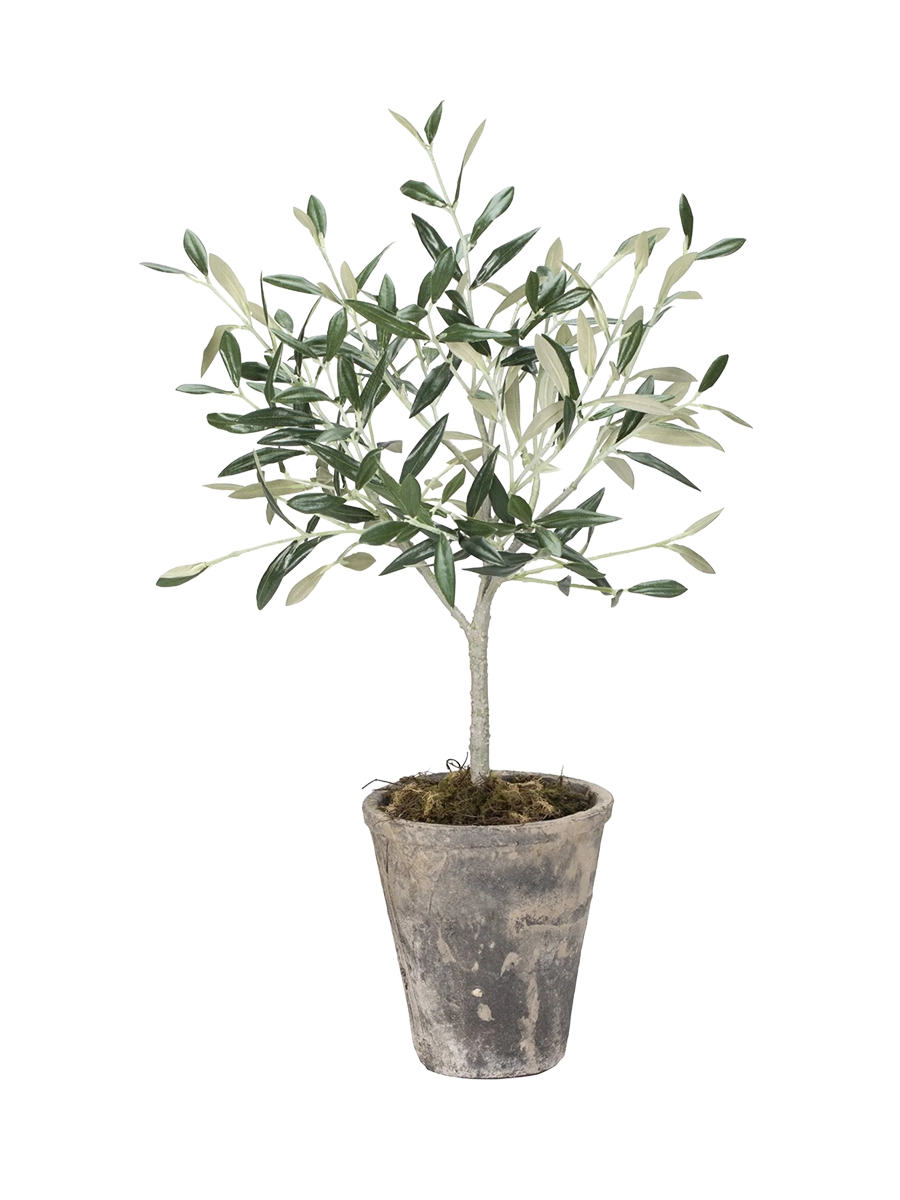 IMAGE for product variant SKU 485004402