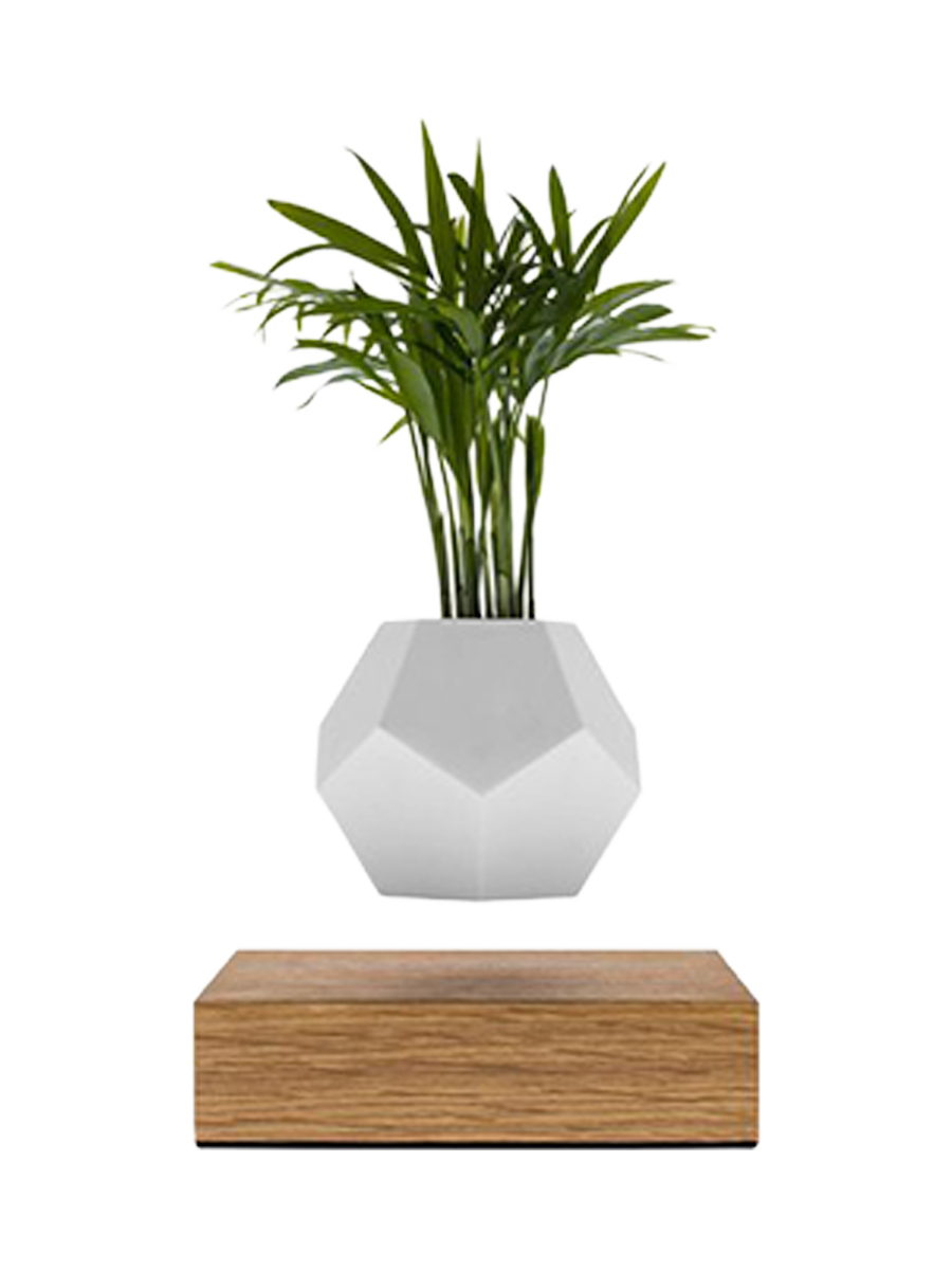 
Floating Design Object "LYFE Planter" - Natural Oak