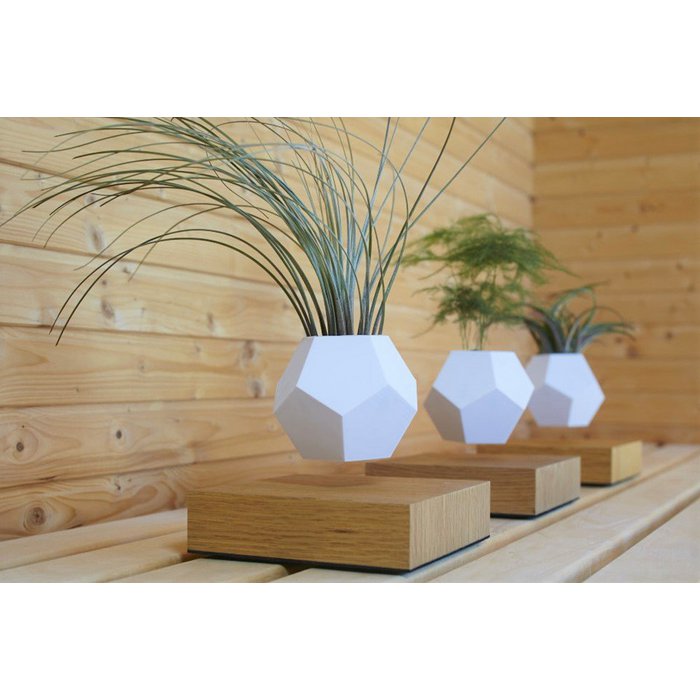 
Floating Design Object "LYFE Planter" - Natural Oak