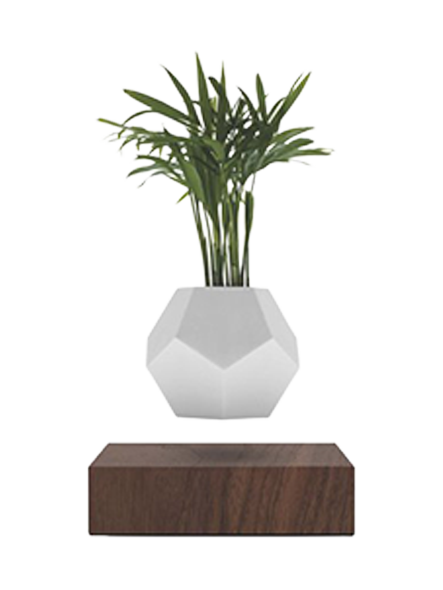 
Floating Design Object "LYFE Planter" - Nut tree
