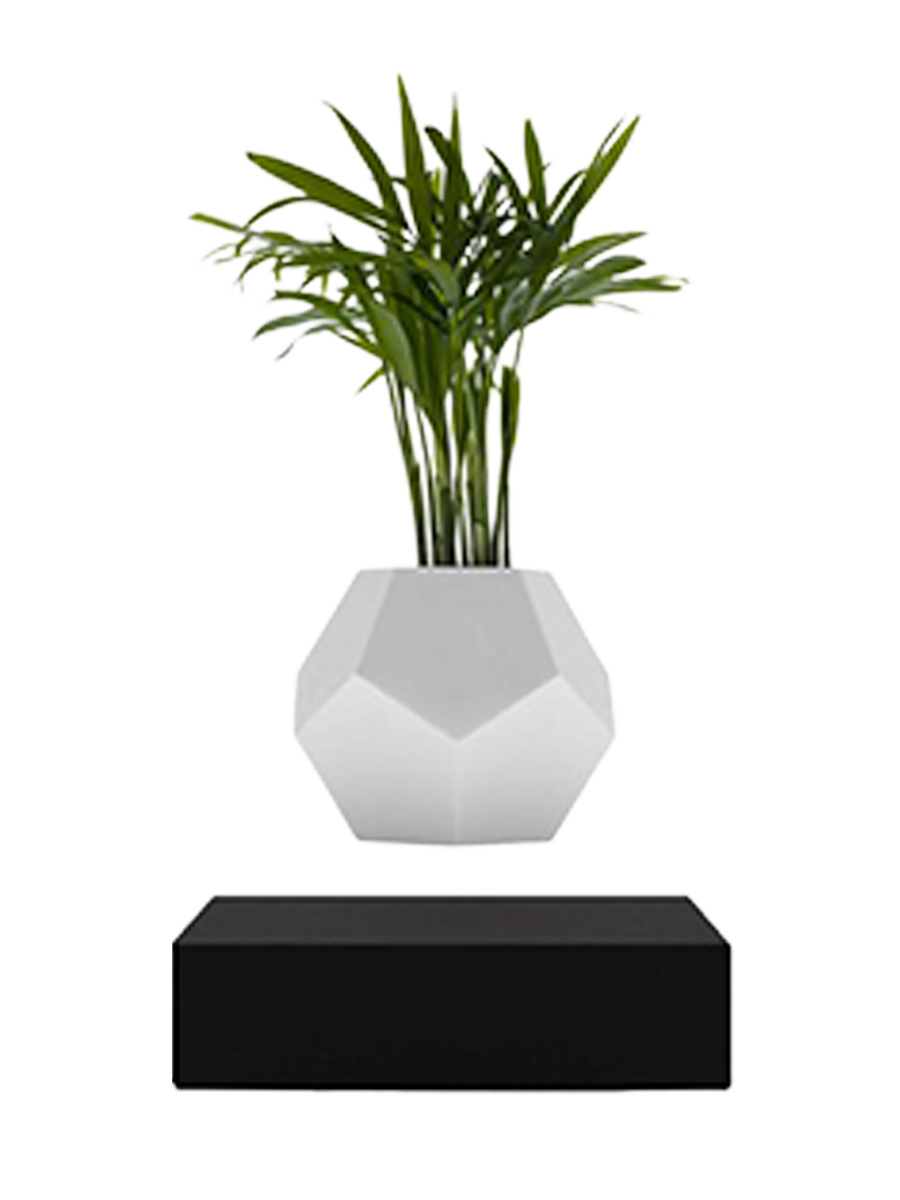 
Floating Design Object "LYFE Planter" - Black