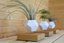 
Floating Design Object "LYFE Planter" - White