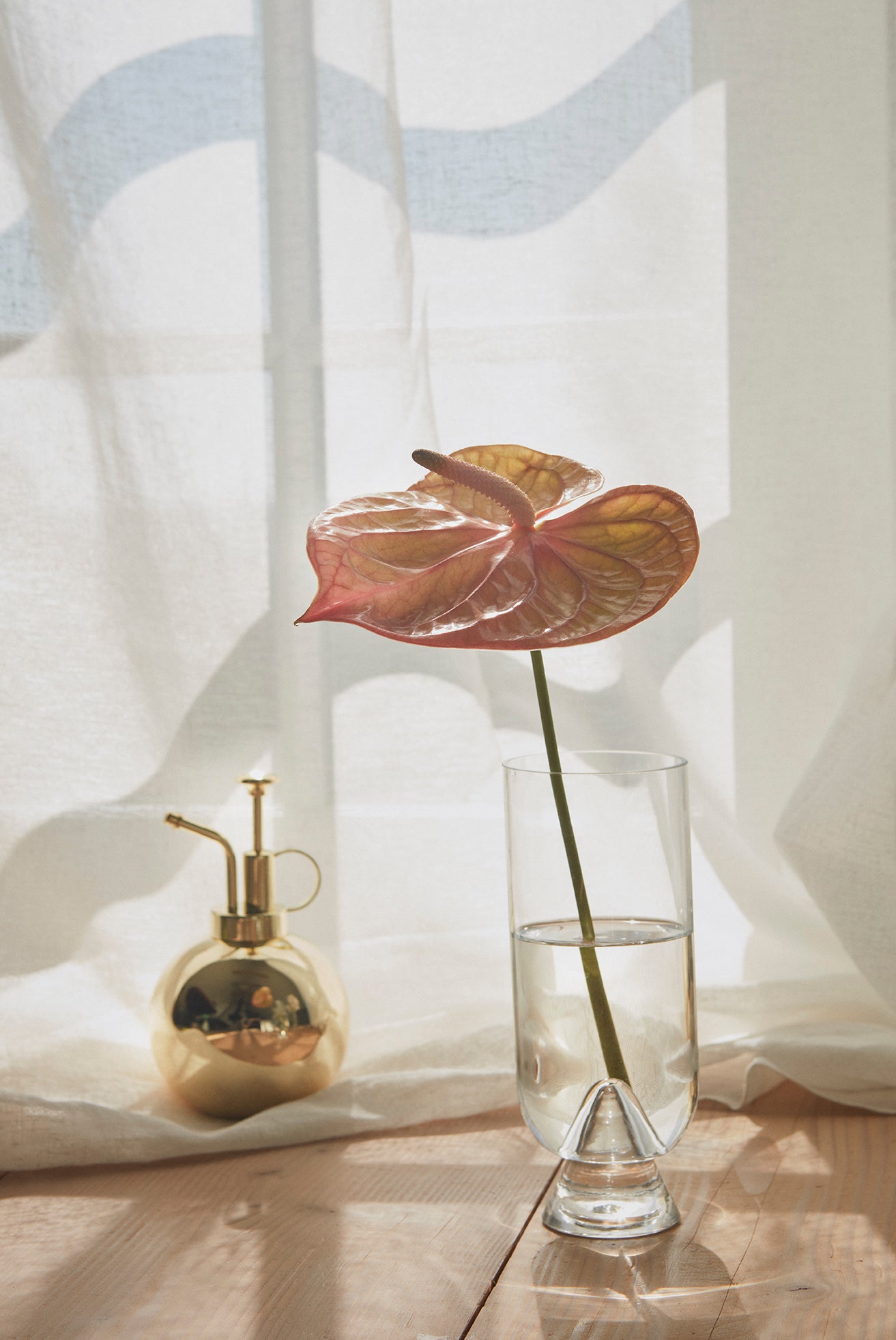 
"Globe" Design Flower Sprayer