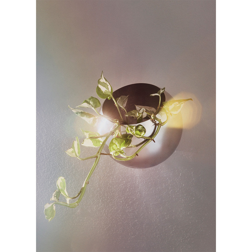 IMAGE for product variant SKU 509210004011