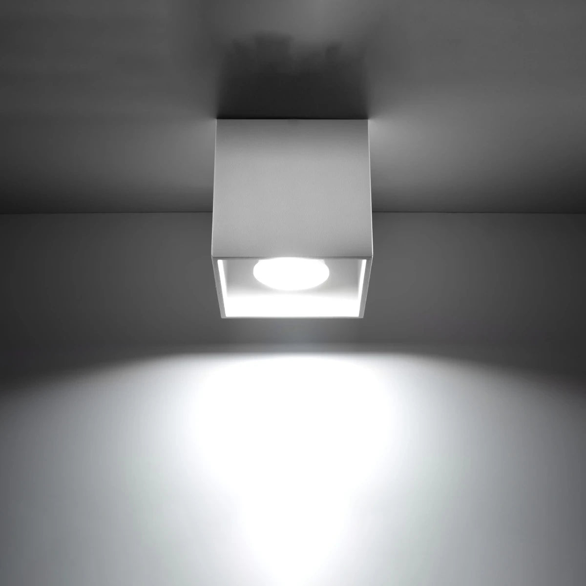 IMAGE for product variant SKU 5902622425146