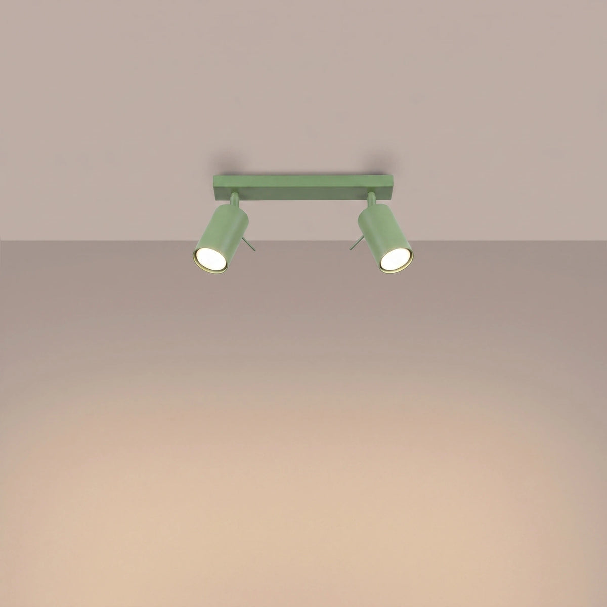 
Design Deckenlampe „Ring“ 2-flammig - Salbeigrün