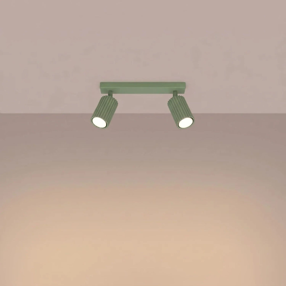 
Design Deckenlampe „Karbon“ 2-flammig - Salbeigrün