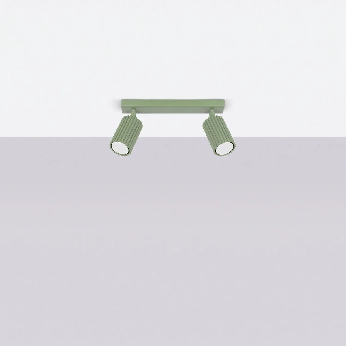 
Design Deckenlampe „Karbon“ 2-flammig - Salbeigrün