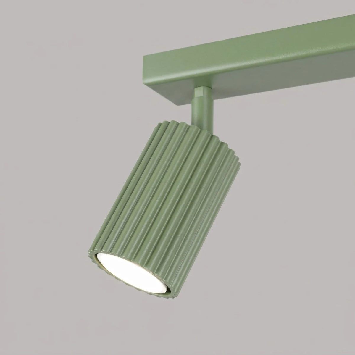 
Design Deckenlampe „Karbon“ 2-flammig - Salbeigrün