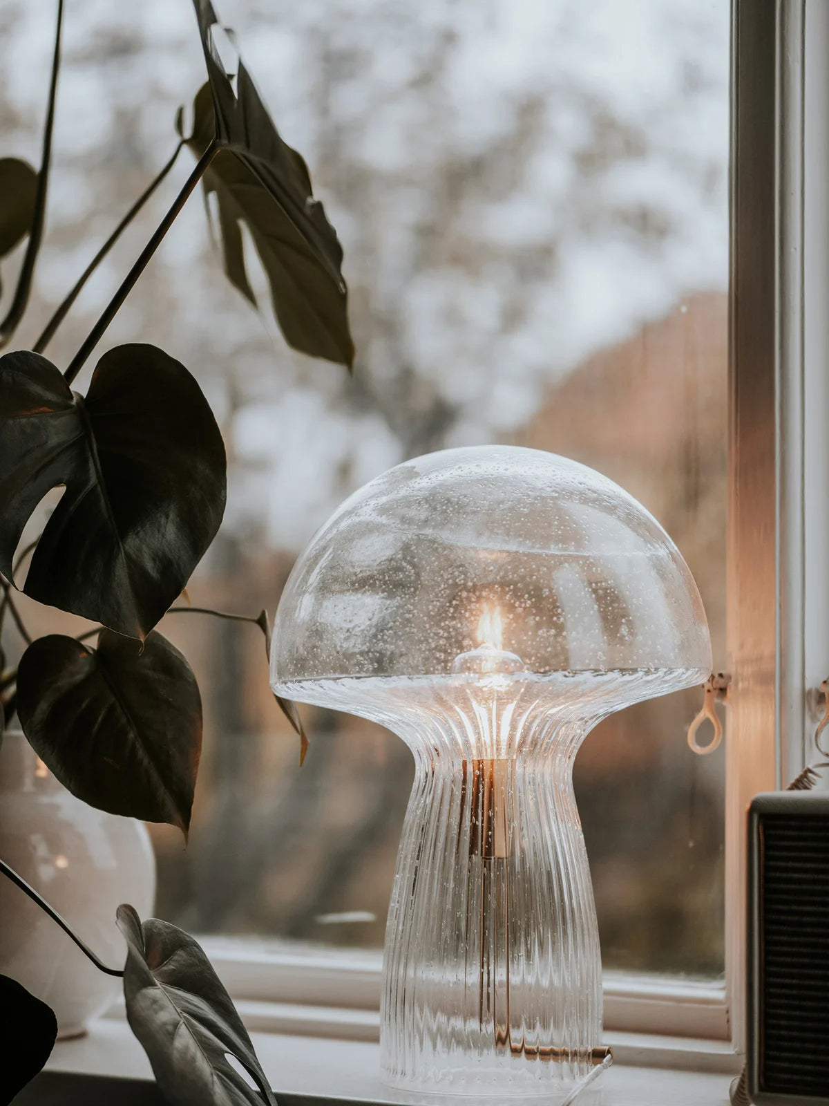 
Lampada da tavolo di design dimmerabile „Fungo Special Edition“, trasparente - Grande, Ø 30 x altezza 42 cm