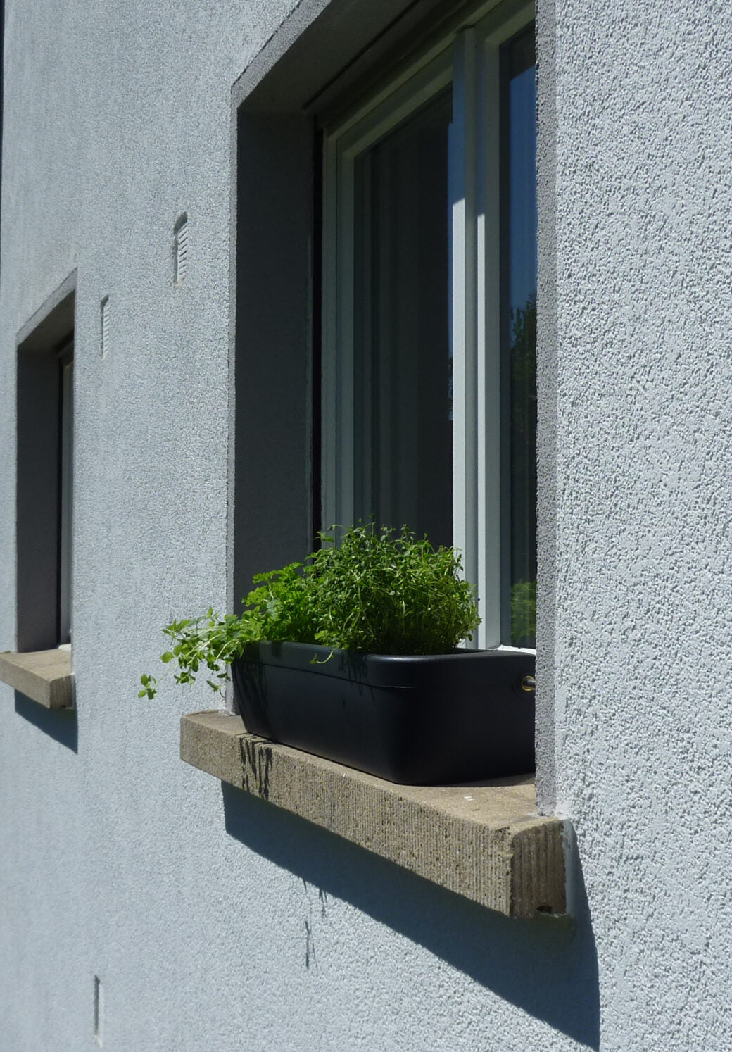 
Jardinière Windowgreen 85 cm - Graphite