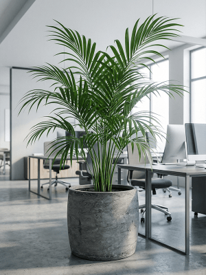 IMAGE for product variant SKU 6AGRGBR46