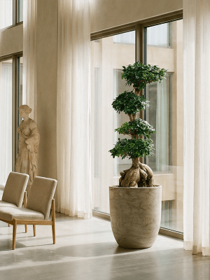 
Hochwertiger In- & Outdoor Blumentopf „Alger Partner“, verschiedene Grössen - Weiss / Ø 64 x Höhe 73 cm