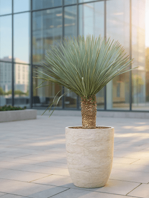 
Hochwertiger In- & Outdoor Blumentopf „Alger Partner“, verschiedene Grössen - Weiss / Ø 55 x Höhe 65 cm