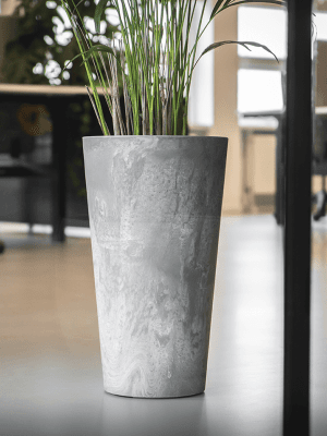
Composition de plantes « Ficus lyrata in Artsotne » Ø 50 x 140 cm
