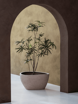 
Pot de fleurs "Ruvido Organic" de haute qualité pour l'intérieur et l'extérieur, différentes tailles - Ø 93 x hauteur 50 cm / Sable