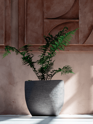 
Pot de fleurs "Ruvido Organic" de haute qualité pour l'intérieur et l'extérieur, différentes tailles - Ø 93 x H 70 cm / Gris