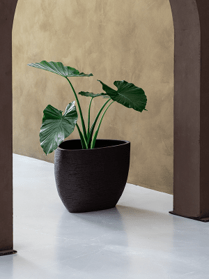 
Pot de fleurs "Ruvido Organic" de haute qualité pour l'intérieur et l'extérieur, différentes tailles - Ø 67 x hauteur 50 cm / Gris