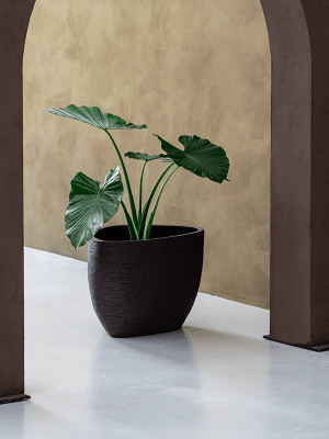 
Pot de fleurs "Ruvido Organic" de haute qualité pour l'intérieur et l'extérieur, différentes tailles - Ø 93 x H 70 cm / Noir-brun