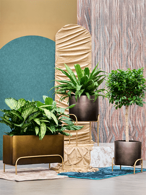 
High-quality flower pot "Gradient Elevated", various sizes - Coffee matte / Ø 40 x Height 62 cm
