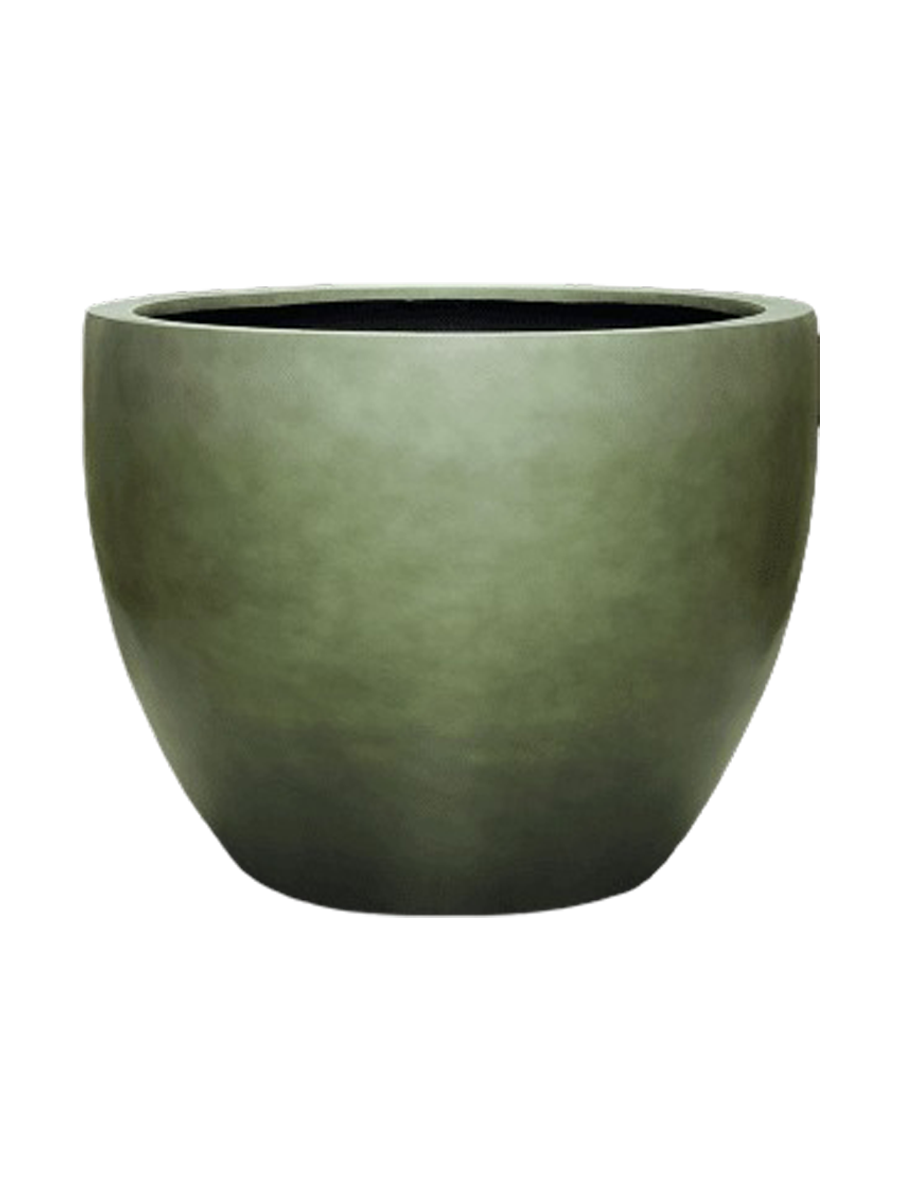 IMAGE for product variant SKU 6GRDC90OG