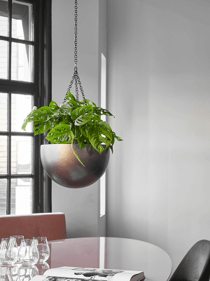 
Hanging Planter "Gradient Bowl," various sizes - Coffee Mat / M - Ø 33 cm