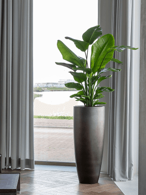 
Hochwertiger Blumentopf „Gradient Partner“, verschiedene Grössen - Coffee Matt / Ø 40 x Höhe 95 cm