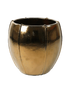 IMAGE for product variant SKU 6KGOPMG76