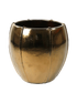 IMAGE for product variant SKU 6KGOPMG77