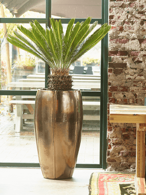 
High-quality indoor/outdoor planter "Moda Emperor", various sizes - Gold Shimmer / Ø 43 x Height 74 cm