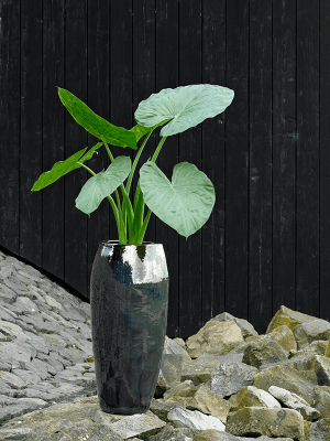 
Hochwertiger XL In-/Outdoor Blumentopf „Plain Emperor“, verschiedene Grössen - Ø 41 x 100 cm