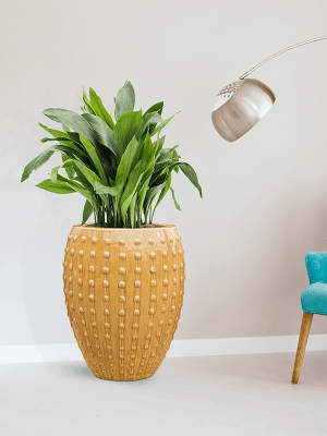 
High-quality Indoor/Outdoor Planter "Laos Emperor", various sizes - Mustard yellow / Ø 44 x H 55 cm