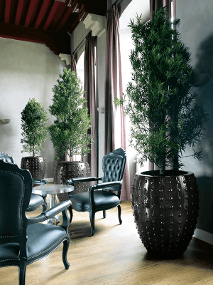 
High-quality Indoor/Outdoor Planter "Laos Emperor", various sizes - Black / Ø 54 x height 67 cm