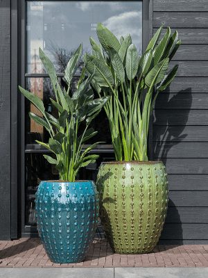
High-quality Indoor/Outdoor Planter "Laos Emperor", various sizes - Green / Ø 64 x Height 80 cm